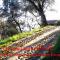 Agriturismo Terre Rosse Portofino-22