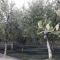 Agrialpi by Salfrutta-11