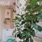 Otranto casevacanza-16