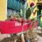 B&B Comacchio-1