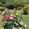 Il Giardino delle Rose A-30