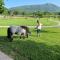 Family Farm Soc. Agr. a r.l.-28