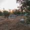 La Nicchia-Trullo-41