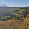 ORIZZONTI Vigneti Repetto-10