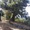 L'Antica Quercia B&B-34