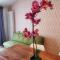 Casa Barcelli Sport & Family Apartments-0