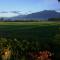Bed and breakfast Al Rudun-32