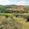 CAMPO AL VENTO - Country farm-33