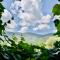 Podere Bargnano Cetona, Sleeps 12, Pool, WiFi, Air conditioning-39