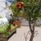 A DUE PASSI temporary apartment-28