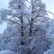 Casa all'Alpe Gaggetto B & B-2