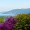 B&B Il Picchio-12