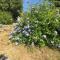 Cinque Terre, Tuscany, Liguria, Lerici #5-41