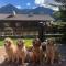 Alpine Touring Hotel-petfriendly-54
