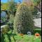 Appartamento La Foresta Abetone-29