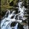 Appartamento La Foresta Abetone-43