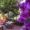 Il Giardino di Ada Ground Floor Studio with AC and Patio-25