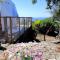 B&B Glamping Semaforo Capo Sperone-57