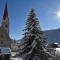 Chalet & Appartement Zingerlehof Trens-88
