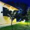 B&B Da Gabry-12