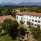 GATTO IN VIGNA-19