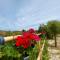 Overlooking hill new tipical Sicilian house in rustic style with private garden and parking-25
