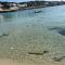 Villetta a 100mt dal mare-30