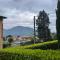 A due passi dal lago (CIR 017085-LNI-00017)-10