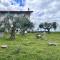 La Collina in una Stanza - Atessa-9