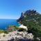 appartamento Oleandro-5