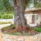 Hill Trull - Typical Apulian House-40