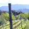Artists' holiday home near Cinque Terre - 4 bedrooms, large terrace, great views-42