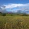 Auberge Santu Martine: cottage with pool (Vinza)-42