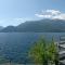 The House on the lake shore-13