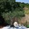 Trulli di Titti - Luxury Country House-88