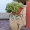 Contrada Macchia B&B-30