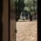 Tenuta Querce Grosse- Le Dimore-5