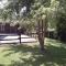Refurbished 3 Bedroom Farmhouse in Emilia-80