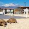 Bright apartment in Acireale, 60 sqm with shared pool-5