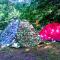 Camping Camaldoli-10