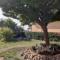 Camera privata in villa con ingresso indipendente e grande giardino-10
