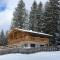 Piz Aich Natur Chalet Panorama-8