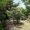 Villa Secchi bifamiliare sul mare IUNP4784-42