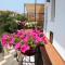 Tortugas B&B-38
