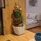 Mascagni Home Suite-3