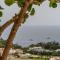 Beautiful Villa with View in the heart of Capri-23