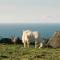 NEW SUITES SEA VIEW SARDINIA, Bedda Ista-25