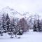 Ski apartment Sellette San Sicario Alto-30