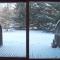 Ski apartment Sellette San Sicario Alto-23