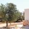 Masseria Cortese-20